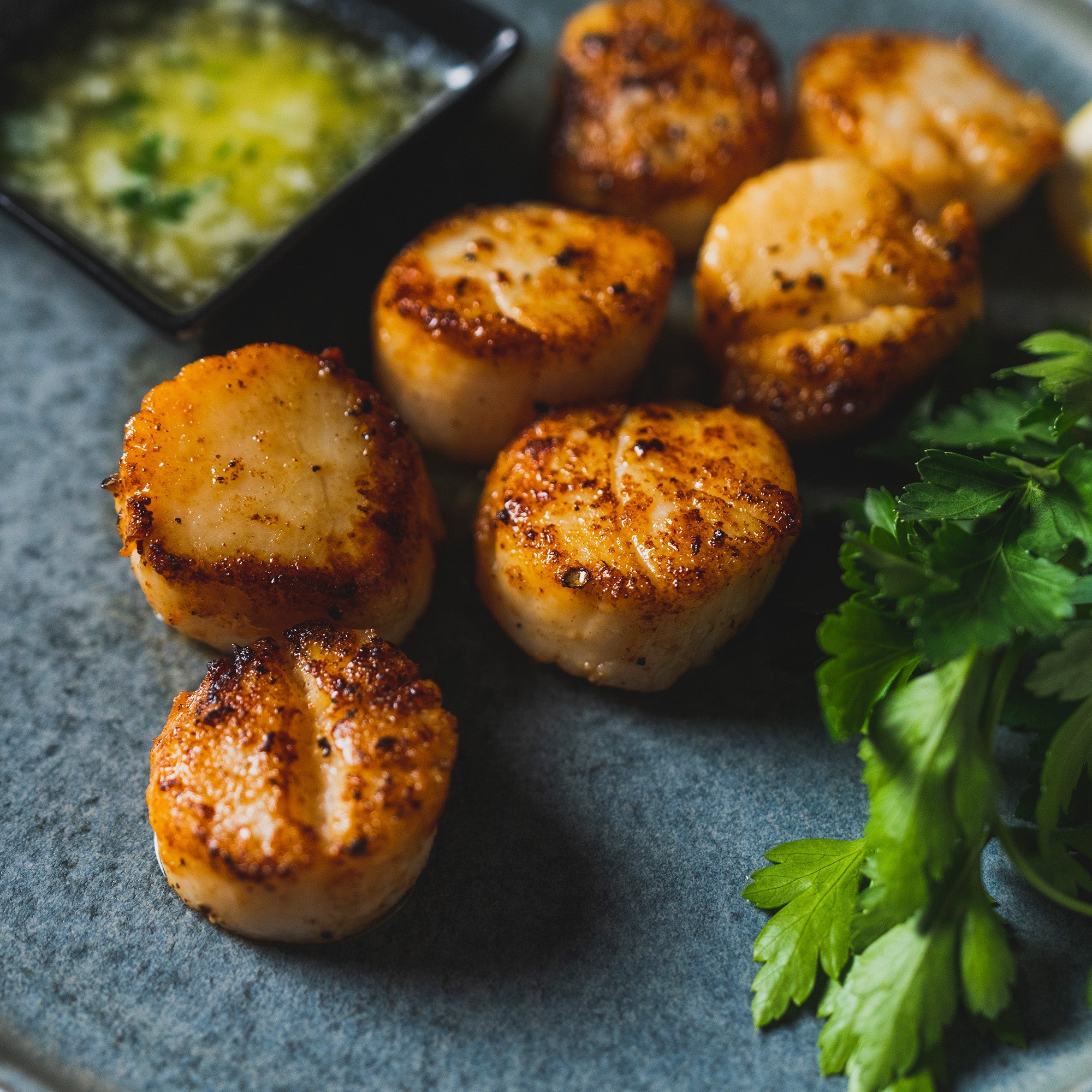 Sea Scallops – Bild 2